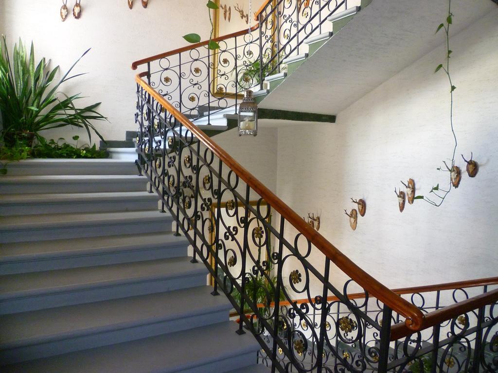 Hotel Koruna Есеник Экстерьер фото